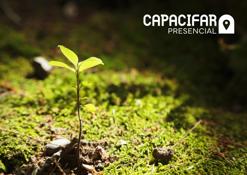 Farmácia viva: cuidado, saberes e experiências da FarmaVerde